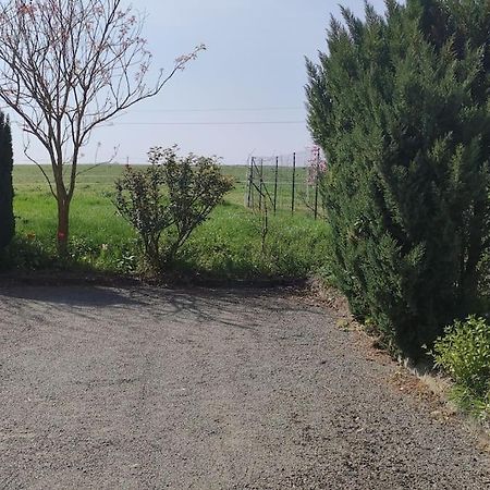 Gîte la Metairie, au calme à la campagne Saint-Seurin-de-Palenne Exterior foto